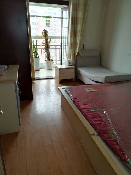 如何高效出租房屋 房地产经纪人的专业指南